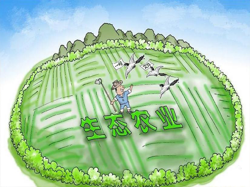 农业农村部办公厅关于集中整治禁限用农药非法生产经营使用的通知